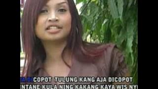 aja di copot