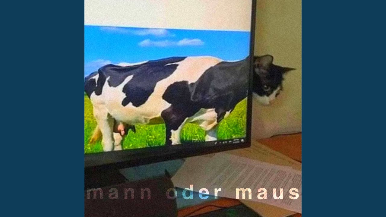 Watch Mann Oder Maus on YouTube Watch Mann Oder Maus on YouTube