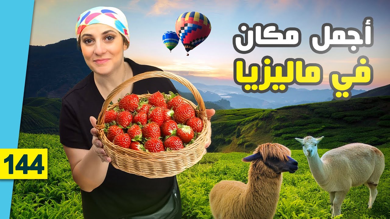 أبرد مكان في ماليزيا 😱 تجربة ساحرة في Cameron Highlands مع الأسعار!