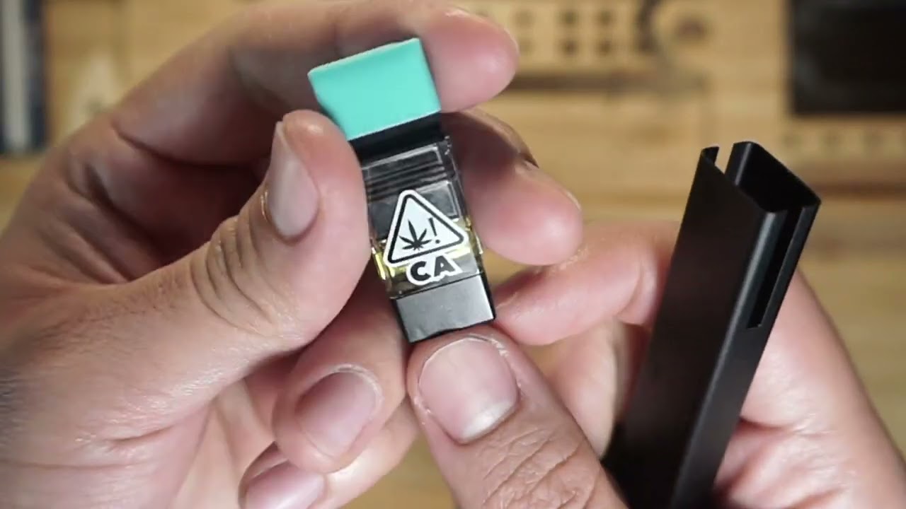 PLUG PLAY LIMON CHELLO