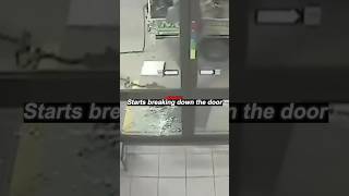 ATM Theft Gone Wrong: Epic Store Robbery Fail!