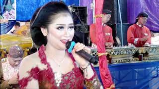 Download Lagu GAYENG !!! Senthir lengo potro   Bintang Budaya MP3