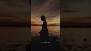 Versiunea Întreagă E Pe Canal