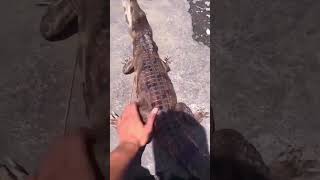 Made Me Drop My Phone