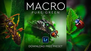 How to edit MACRO Pure Green Lightroom Preset! FREE Download screenshot 5