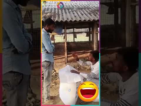 share-chat-funny-videos