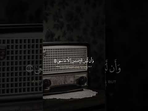 وأن ليس للإنسان إلا ما سعى روائع الشيخ المنشاوي