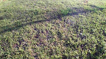 MJX BUGS 3 BEGINNER games 😂 (Crashing)