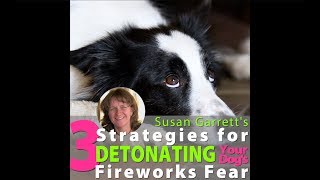 3 Strategies to Help Calm Your Dog's Fireworks Fear