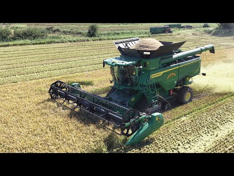 John Deere S7 800 mietitura riso/rice harvest - Grignani-