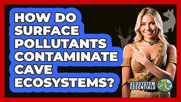 How Do Surface Pollutants Contaminate Cave Ecosystems? - Ecosystem Essentials