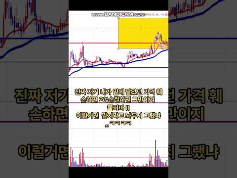 2025 05 19 랩지노믹스 #수젠텍을 샀어야 #랩지노믹스 #주식단타 #진단키트