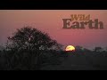 WildEarth - Sunset - 03 July 2021