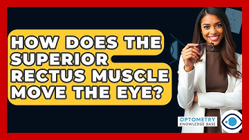 How Does The Superior Rectus Muscle Move The Eye? - Optometry Knowledge Base