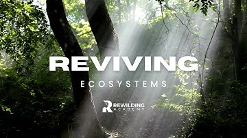 Welcome to the Rewilding Academy