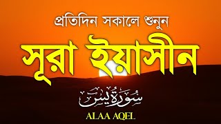 প্রতিদিন সকালে শুনুন – মন জুড়ানো কণ্ঠে সূরা ইয়াসিন | (سورة يس) Surah Yasin | Morning Tilawat screenshot 5