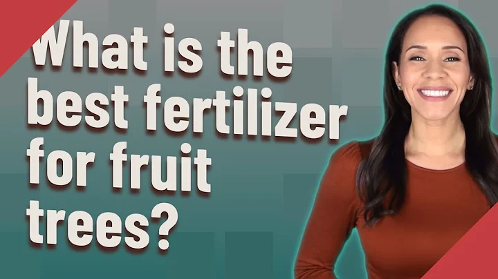 What is the best fertilizer for fruit trees?