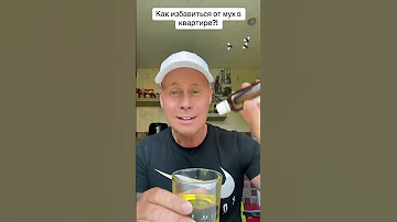 Как избавиться от мух в квартире?!￼ #лайфхаки #советы #обучение #рецепты #рек #мухи #bobbygrant690