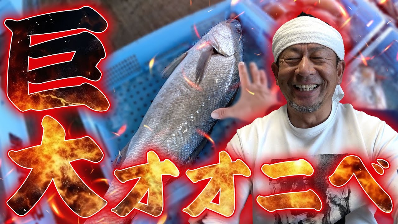 【巨大】日本の四代怪魚！？オオニベが獲れました...！！