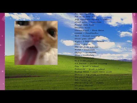 видео: A silly playlist for silly cat people