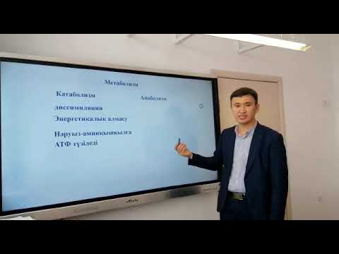 Бейне: Плацента зат алмасуға қалай бейімделген?