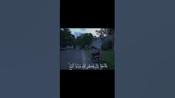 اكتب شيء تؤجر عليه🤍 #قران_كريم #قران_كريم_بصوت_جميل_جدا #قرآن #تلاوات #quran #تلاوة #تلاوة_خاشعة