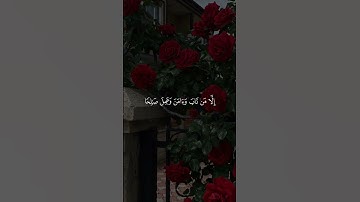 #سورة مريم #احمد خضر #shortvideo