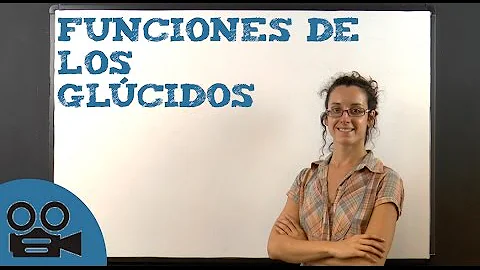 ¿Cuál es el Glucido más importante de los seres vivos?