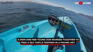 Rescuers Free Seal From Deadly Fishing Line Entanglement