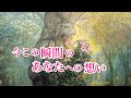 【観たときがタイミング🫧強くあたたかな想い...】今この瞬間のあなたへの想い🎊