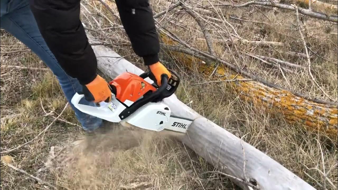 Stihl ms 231c 