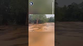 Boaters Rescue Man Stranded in Tree Amidst Flooding