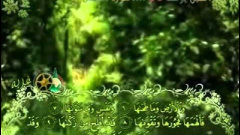 سورة الشمس بصوت الشبل يوسف كالو