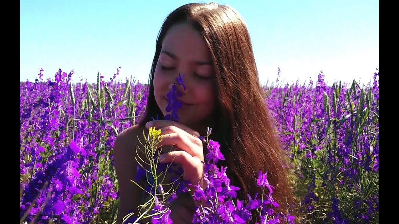 Красивые цветы. Beautiful flowers. YouTube