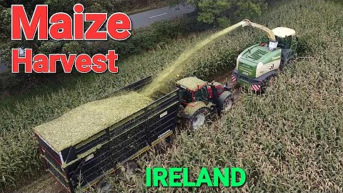Maize cutting, Krone BigX, Dundrum, Tipperary..