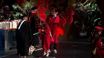 MFA Social Documentary Film 2023