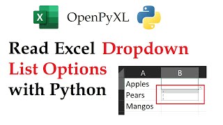 OpenPyXL Tutorial: Extract All Validation Options Fast