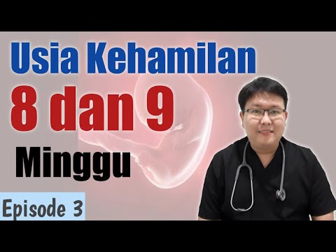 Video: 8 Minggu Mengandung - Apa Yang Berlaku Pada Bayi Dan Ibu?