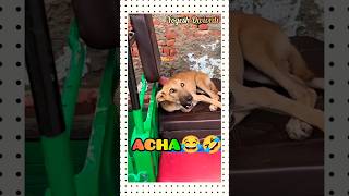 ACHA?? || YOGESH DWIVEDI || shorts funny