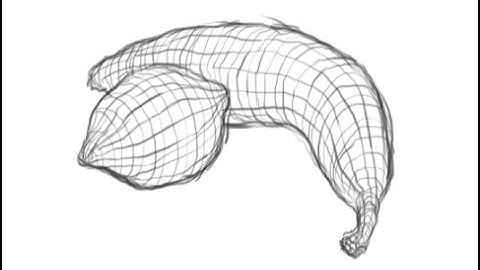 Drawing 4: Contour Drawing