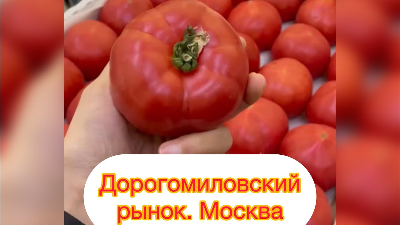 Обзор: Дорогомиловский рынок. Москва - YouTube