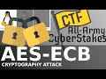 All-Army CyberStakes! AES-ECB Plaintext Recovery