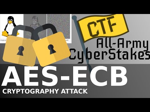 All-Army CyberStakes! AES-ECB Plaintext Recovery