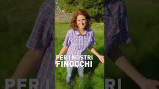 Tre segreti per avere dei bei finocchi #shorts Tre segreti per avere dei bei finocchi #shorts