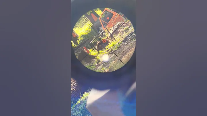 supressed subsonic 22lr