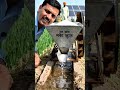 गांव का देशी जुगार .......#viralvideo