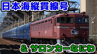 【JR西】24系ブルートレイン「日本海縦貫線号」＆サロンカーなにわ