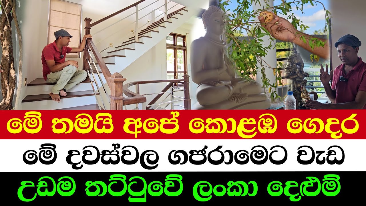 Life at Our Colombo House 🌿 | A Green Paradise of Calm 🌳💚