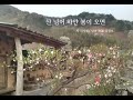 지연 김경희의 시시한 시낭송 / 산 넘어 하얀 봄이 오면 - 김기철