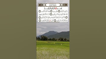 سورة التين | القارئ حسن الواجدي ❤️☪️#القران_الكريم #قران_كريم #تلاوة_خاشعة #تلاوة_هادئة #quran_karim